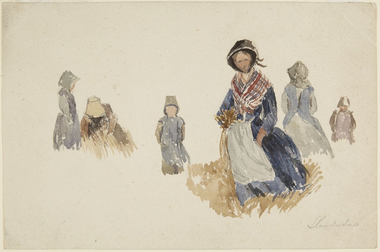 Studies van vrouwen door David Cox