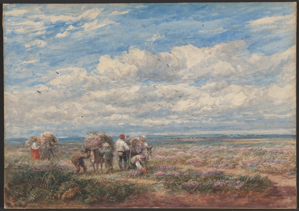 De plukkers van heide of brem door David Cox
