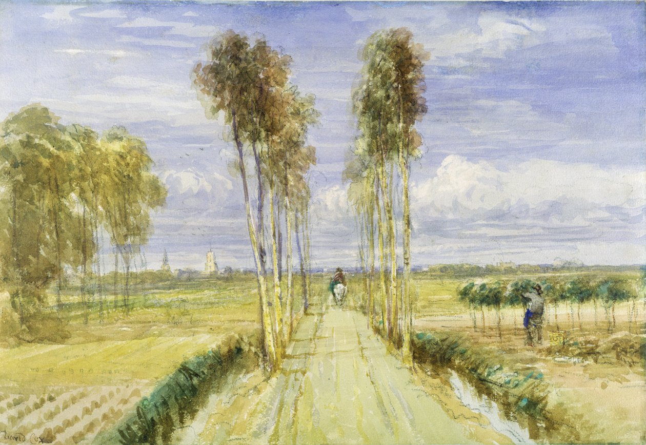 De populierenlaan door David Cox
