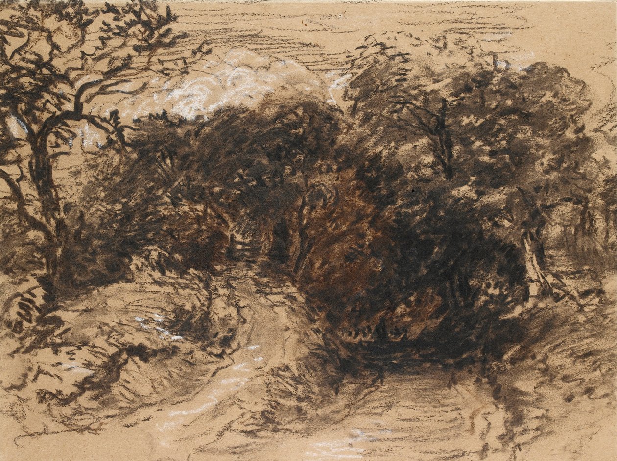 Een holle laan bij Harborne, Derbyshire door David Cox the elder