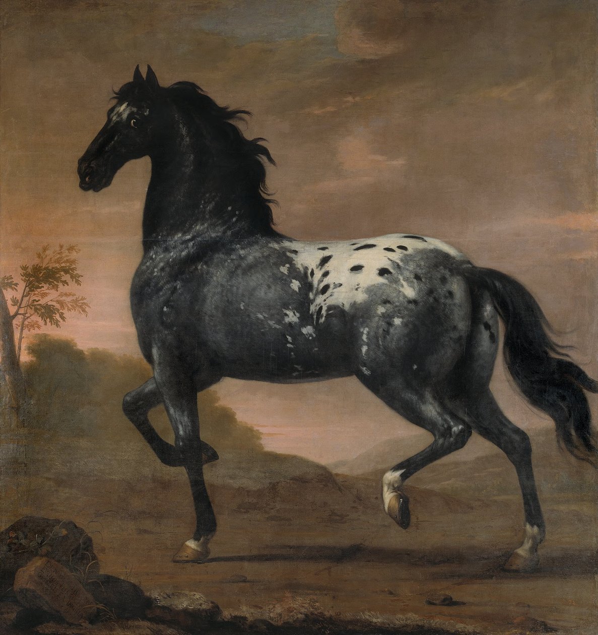 Het paard van Karel XI, de Blauwe Tijger, 1673 door David Klöcker Ehrenstrahl