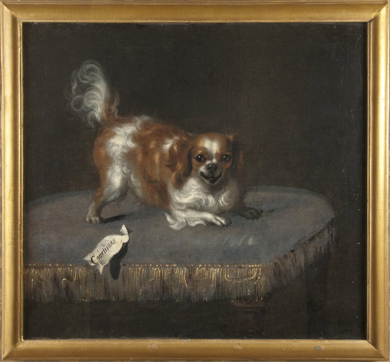 De hond Courtisane door David Klöcker Ehrenstrahl