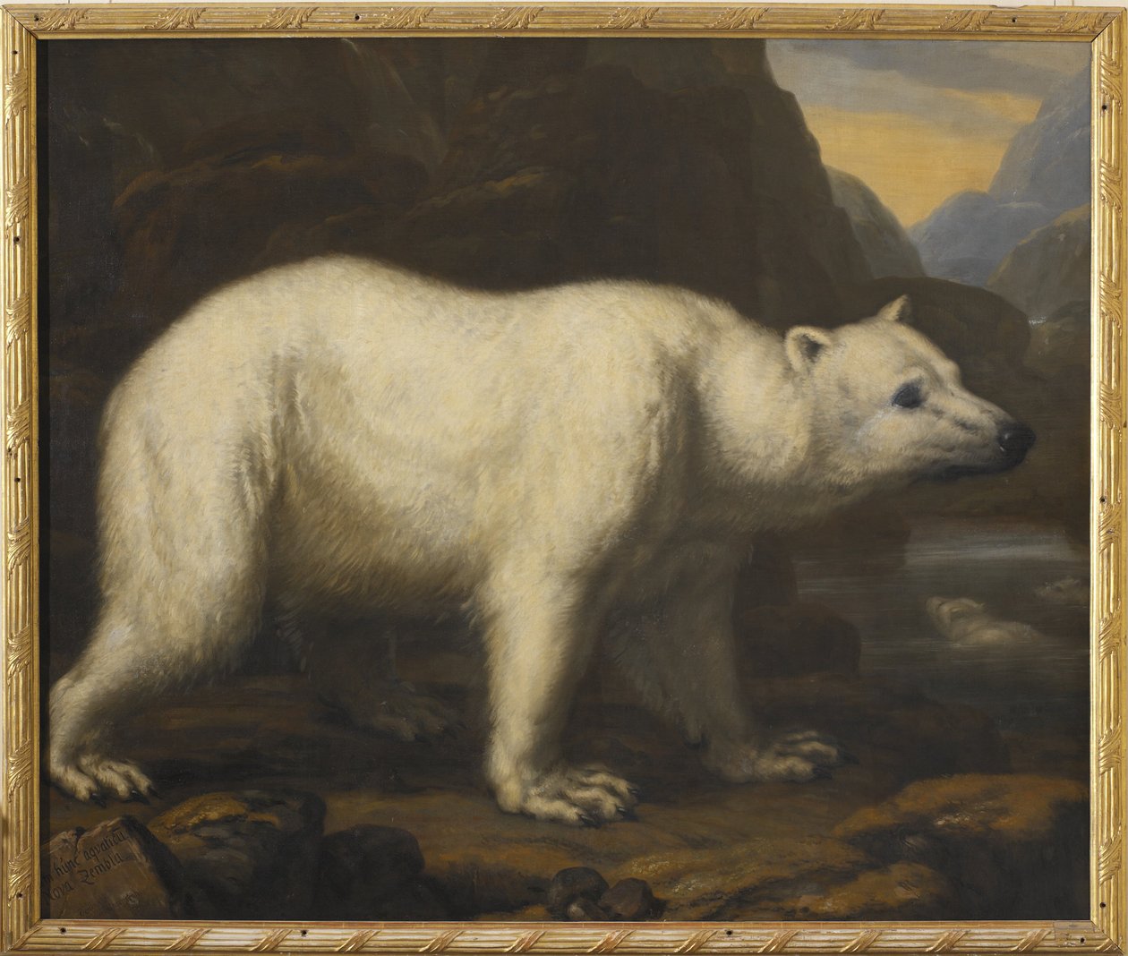 IJsberen door David Klöcker Ehrenstrahl