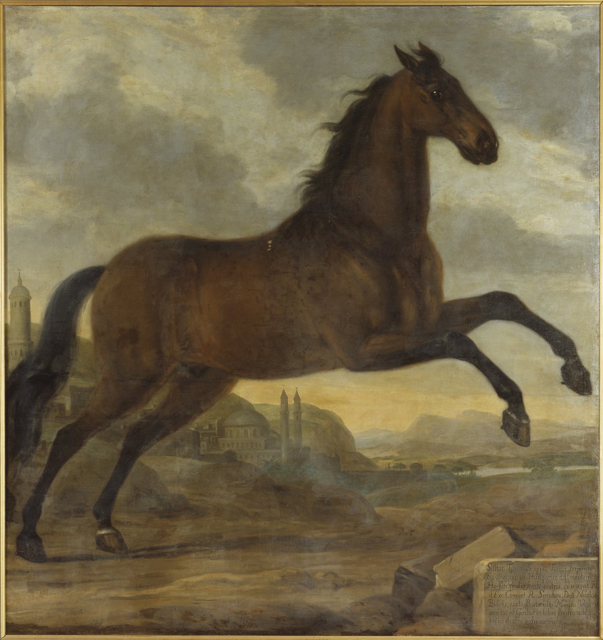Het lijfpaard van Karel XI, Sultan door David Klöcker Ehrenstrahl