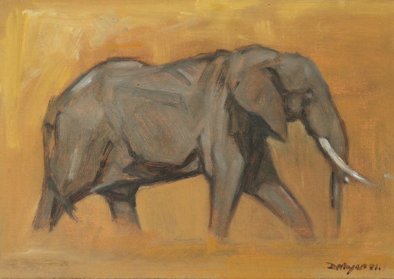 Stier Olifant, 2018 door David Mayer