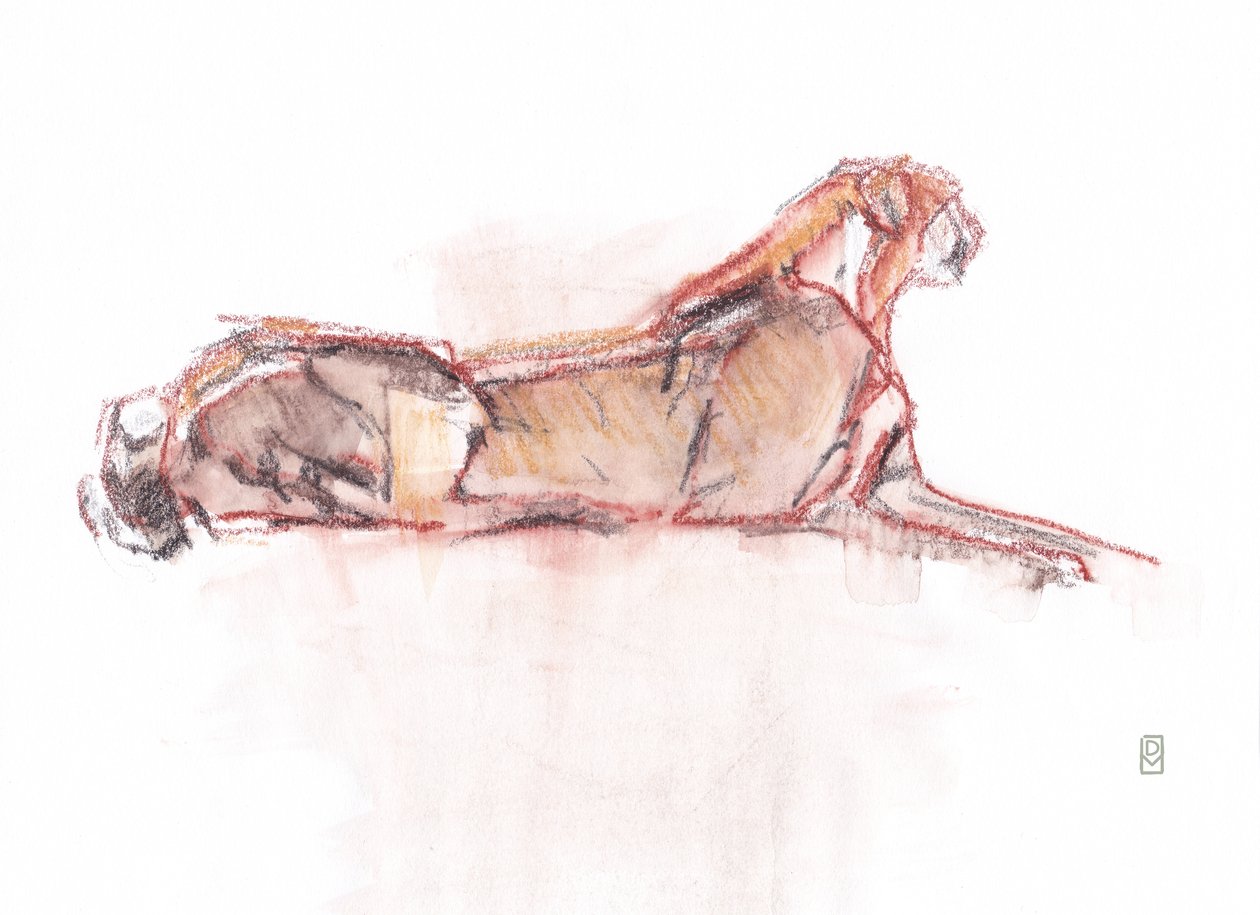 Cheetah alert, 2019 door David Mayer