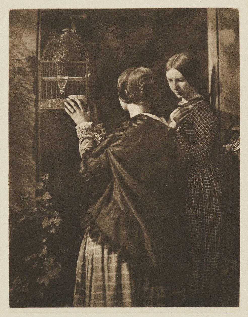 De vogelkooi door David Octavius Hill
