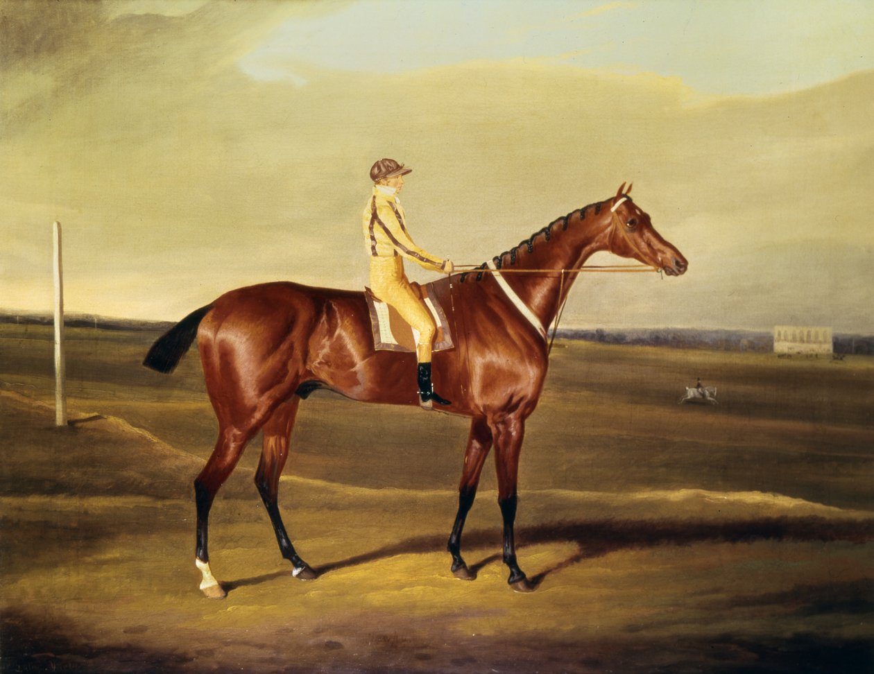 De Eerwaarde Robert Grosvenors Tawpy door David of York Dalby