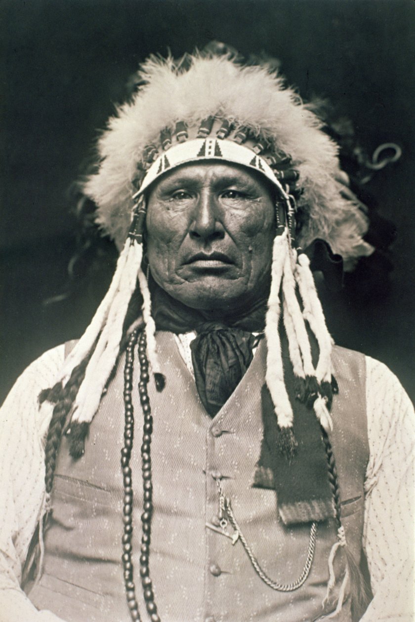 Houten Been, krijger van de Noordelijke Cheyenne die vocht in de Slag bij Little Bighorn in 1876 door DeLancey W. Gill