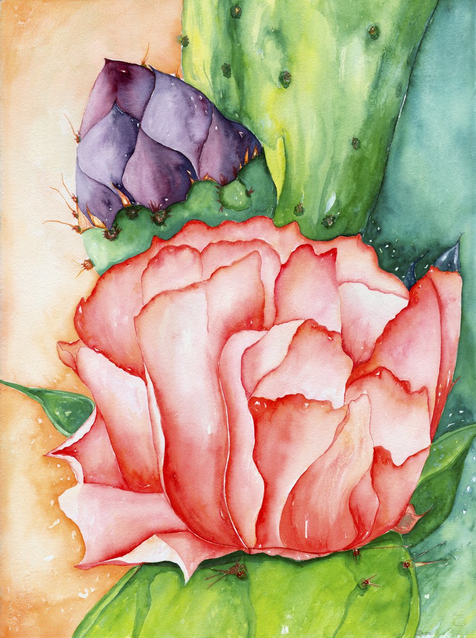 Woestijnbloei, 2007 (aquarel) door Deborah Eve Alastra