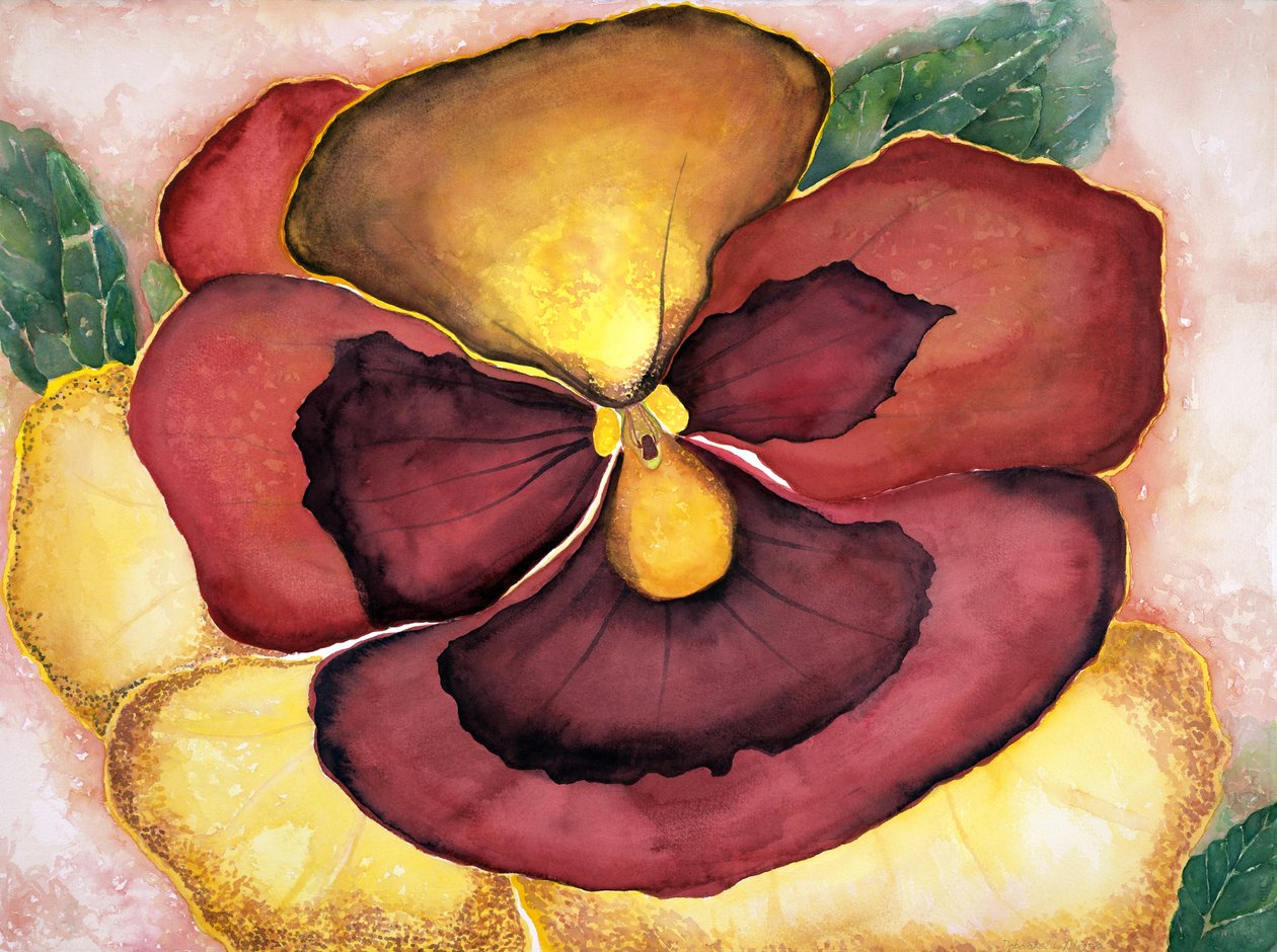 Pansey, 2007 (aquarel) door Deborah Eve Alastra