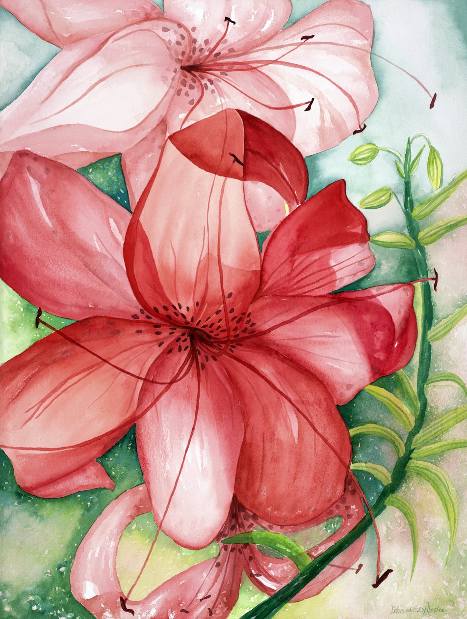 Tijgerlelie, 2007 (aquarel) door Deborah Eve Alastra