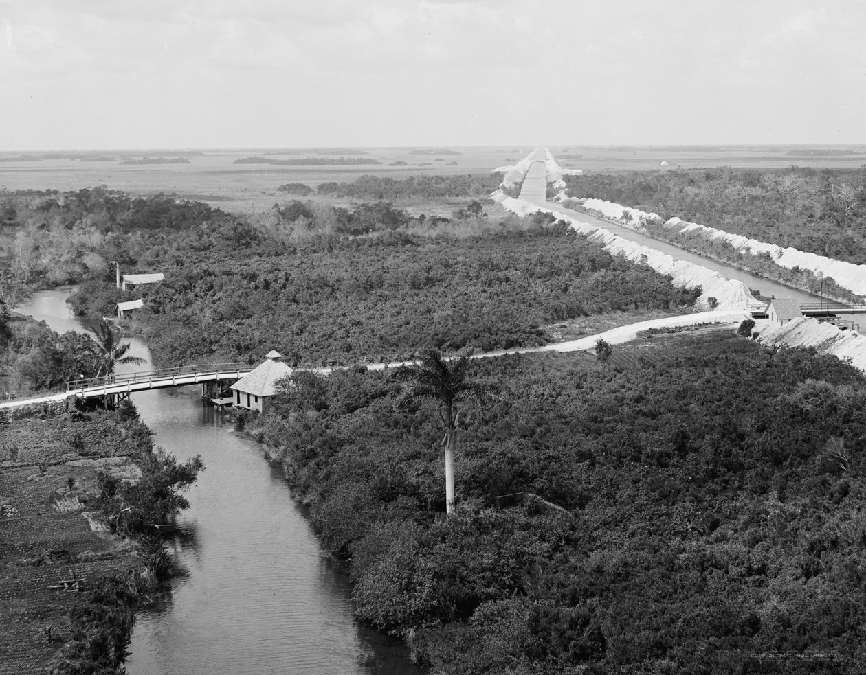 Drainagekanaal en Everglades, Miami, Florida, ca. 1910-20 door Detroit Publishing Co.