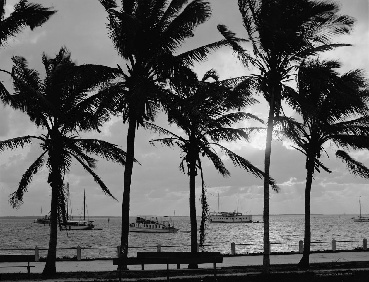 Zonsondergang, Biscayne Bay, Miami, Florida, ca.1910-20 door Detroit Publishing Co.