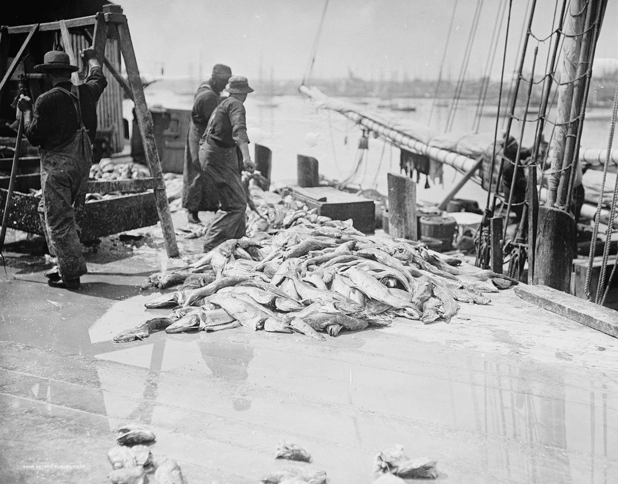 Het lossen van Gorton