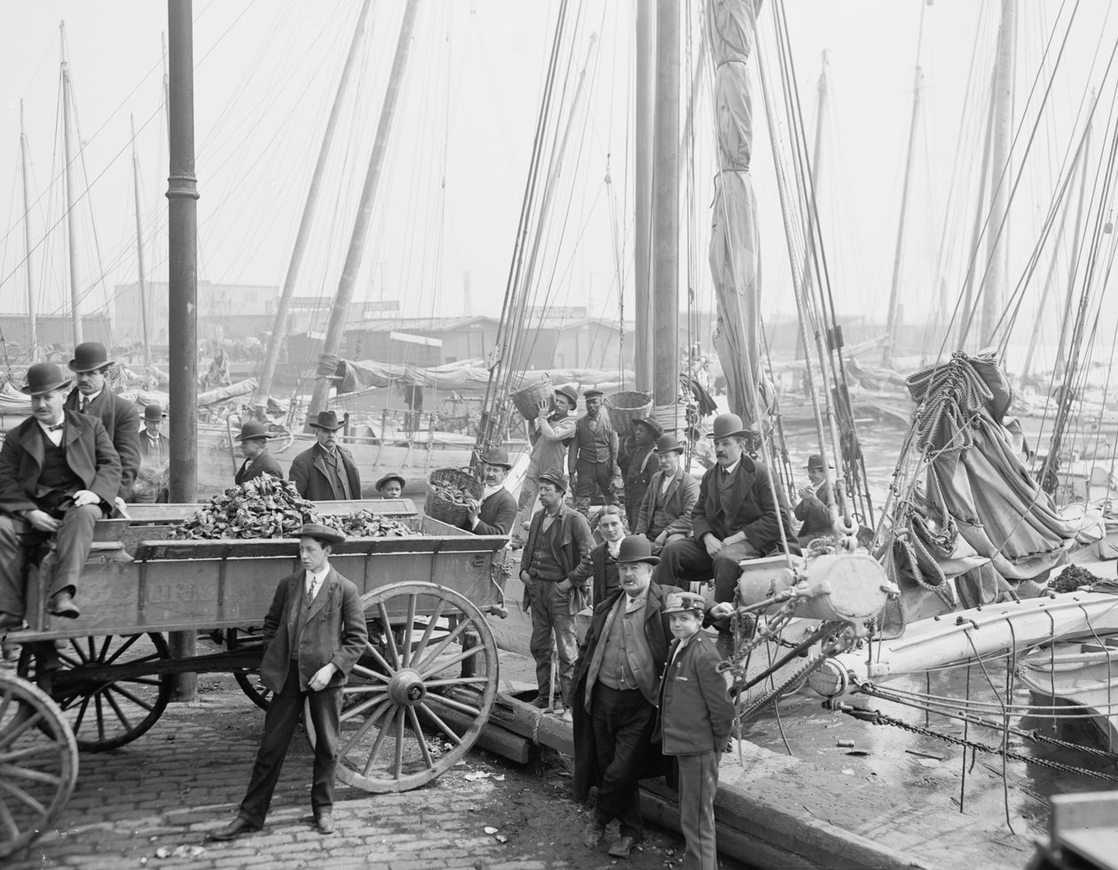 Lossen van oesterluggers, Baltimore, Maryland, 1905 door Detroit Publishing Co.