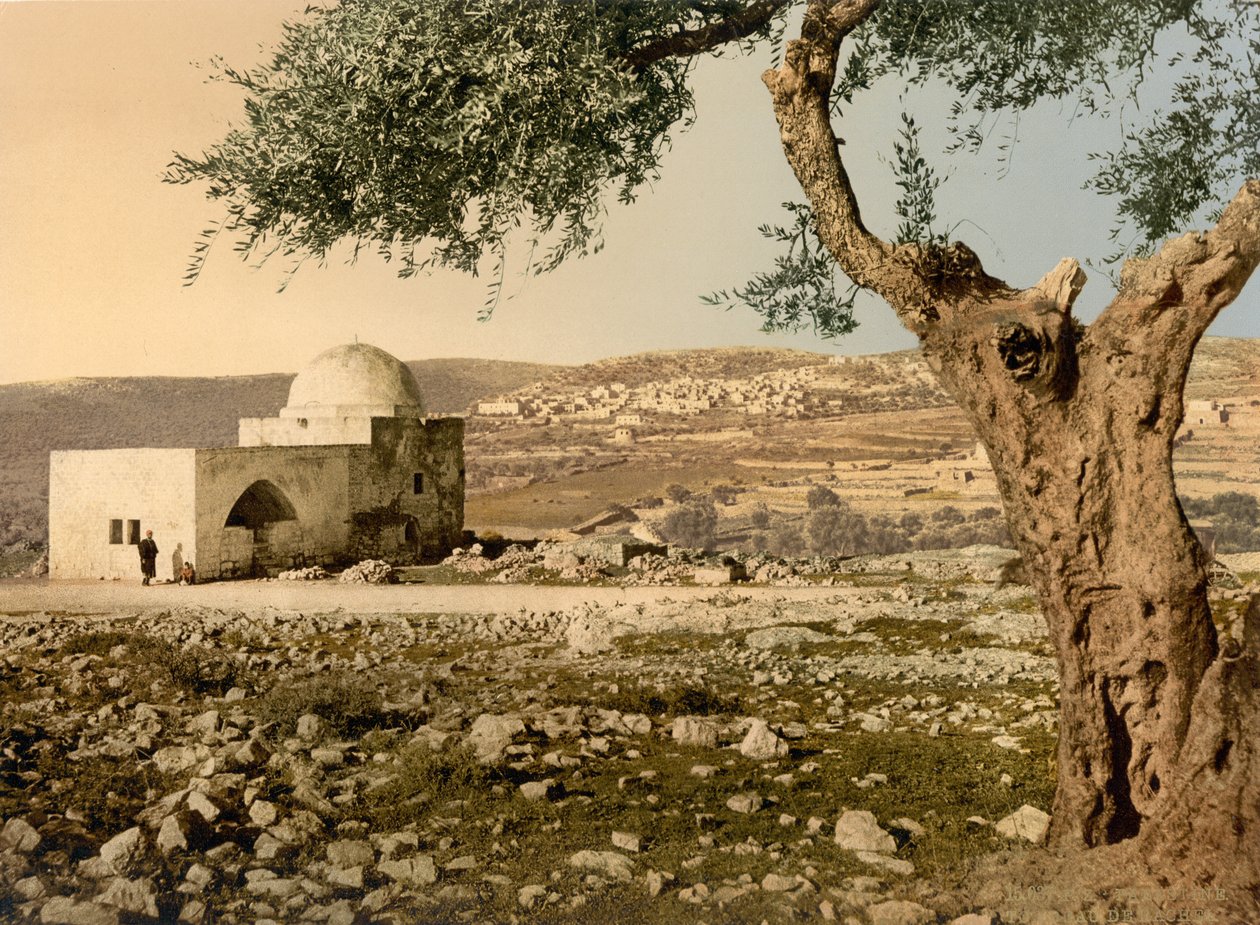 Graf van Rachel, Jeruzalem, Heilig Land door Detroit Photographic Co.