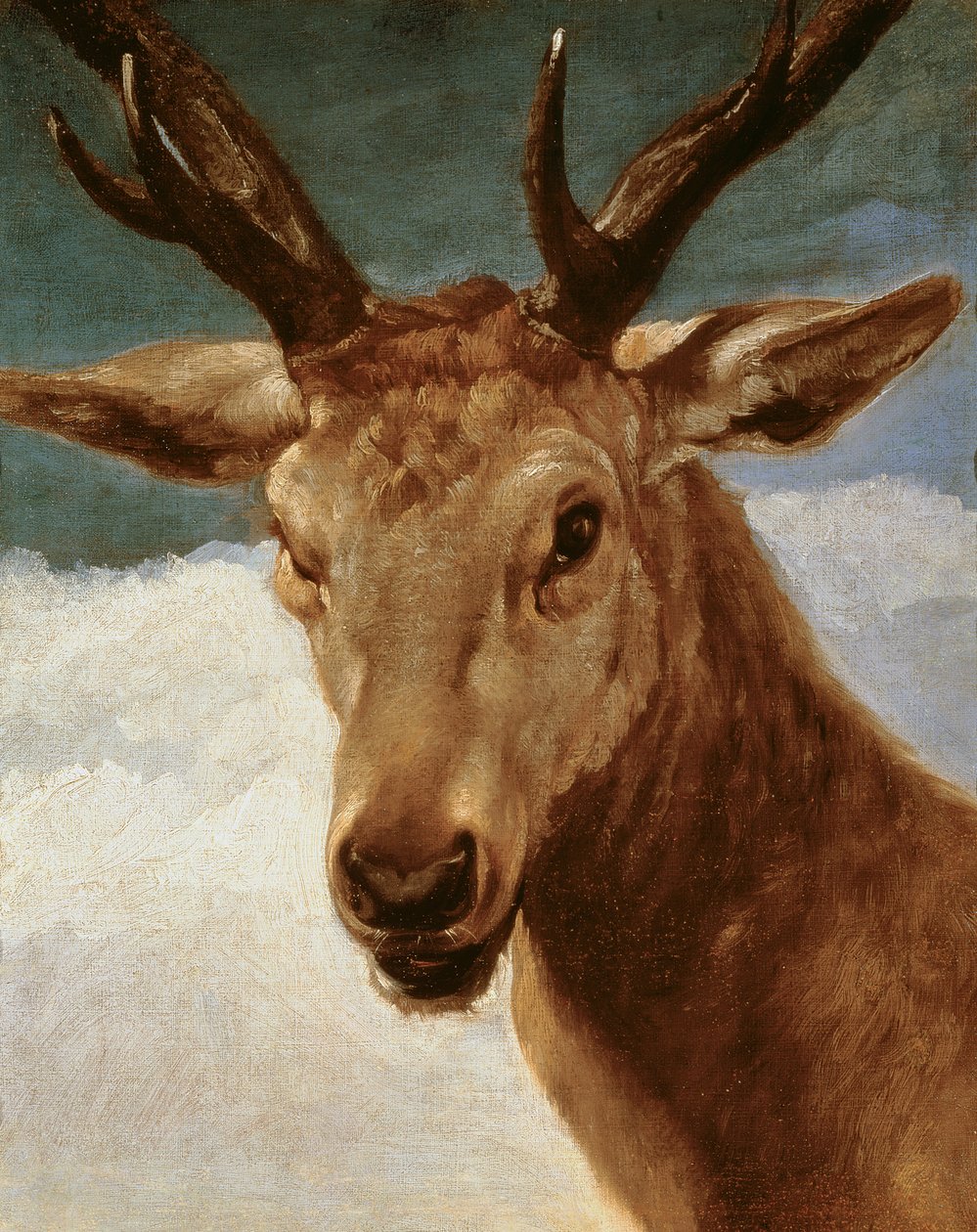 Hoofd van een Hert, 1634 door Diego Velázquez