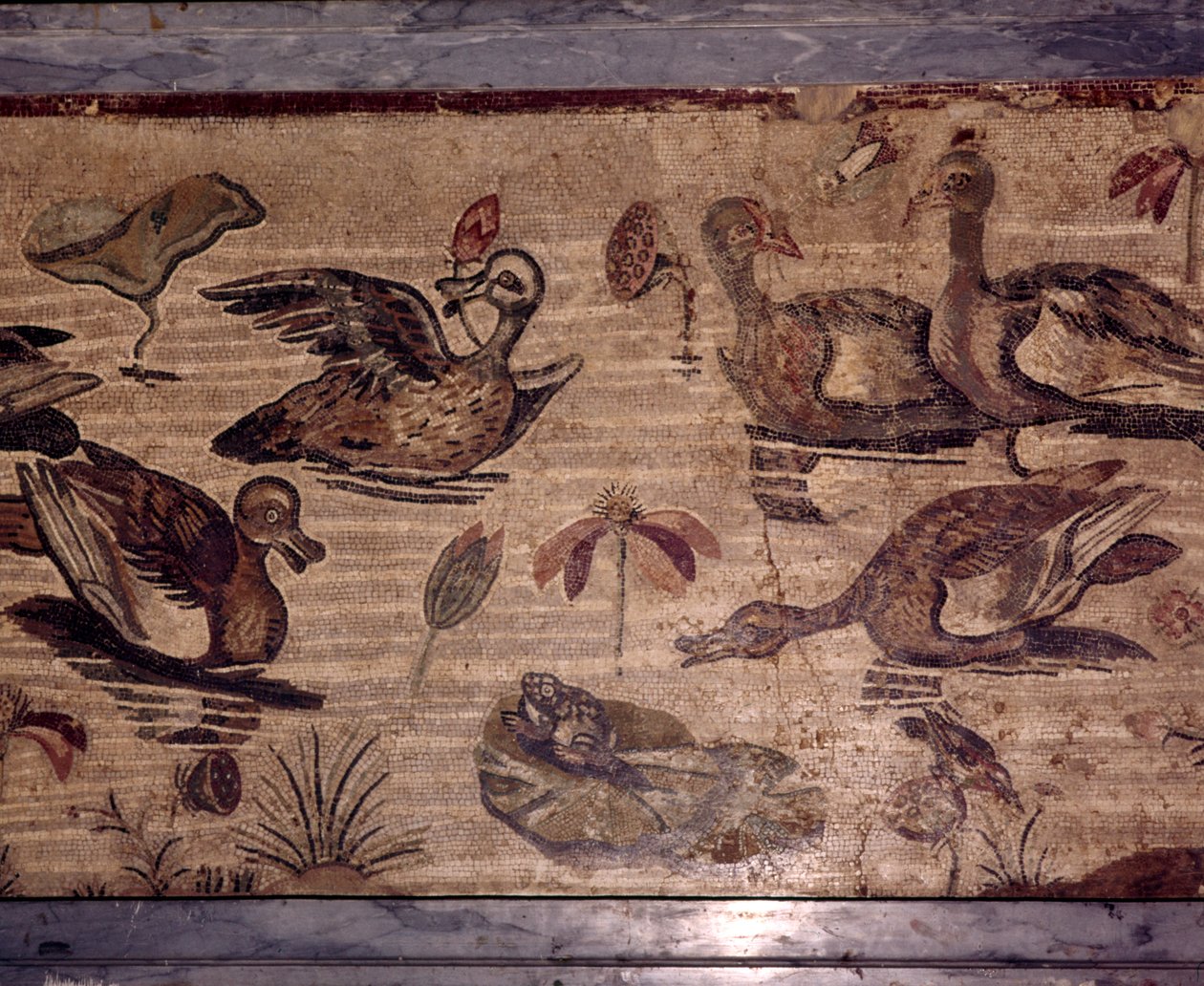 Romeins Mozaïek uit Pompeii van eenden en kikkers in een watertuin, 1e eeuw door Dioscurides of Samos