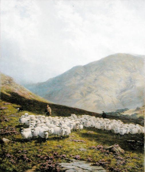 Herder en Schapen, Perthshire door Dixon Clark