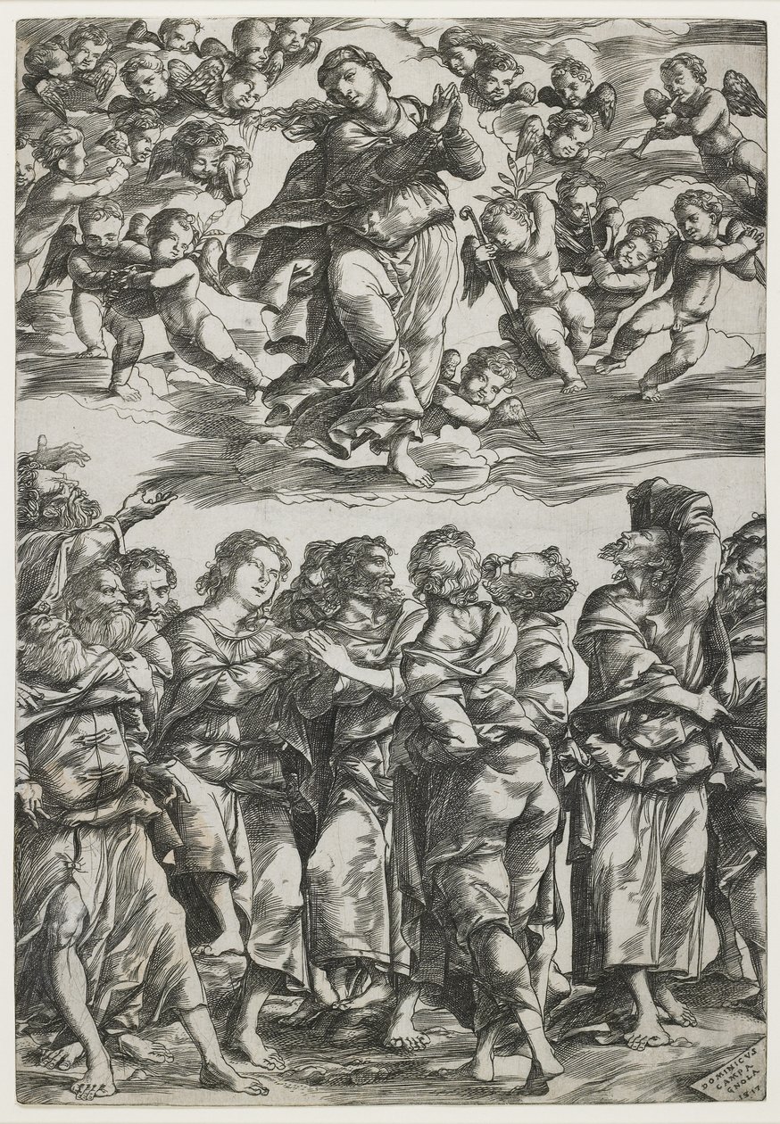 De Hemelvaart van de Maagd door Domenico Campagnola