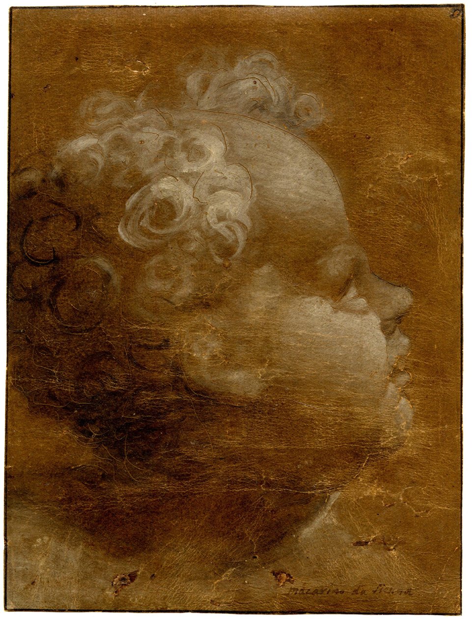 Beccafumi - Hoofd van een kind dat omhoog kijkt, in profiel naar rechts Penseeltekening in grijsbruine en witte olieverf, op bruin geprepareerd papier, met lijnen ingesprongen, 1528 (circa) door Domenico Beccafumi