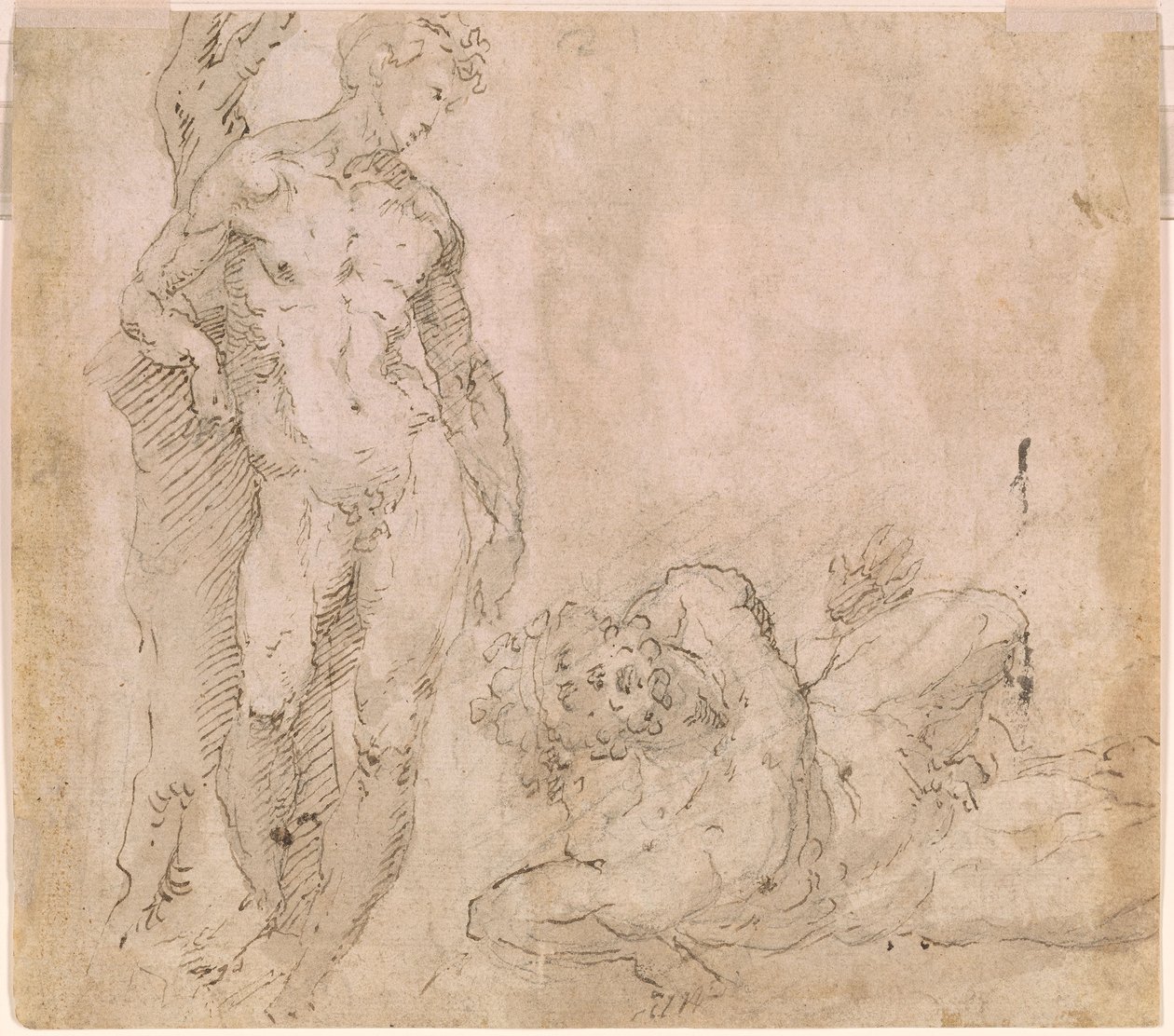 Beccafumi - Verso Mannelijk naakt leunend tegen een boomstam en een liggend mannelijk naakt met achterovergeworpen hoofd, ca. 1530-1540 door Domenico Beccafumi