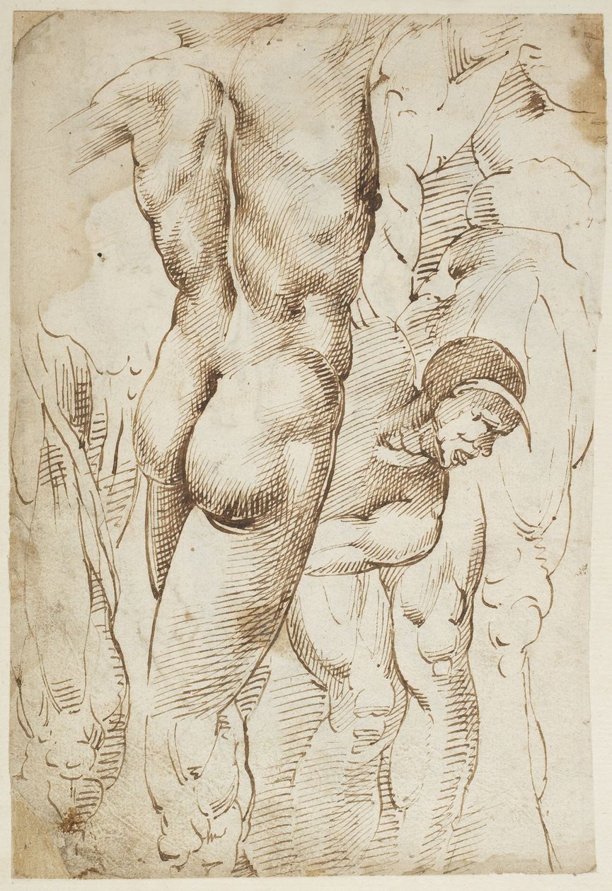 Studies van benen en mannelijke naakten door Domenico Beccafumi