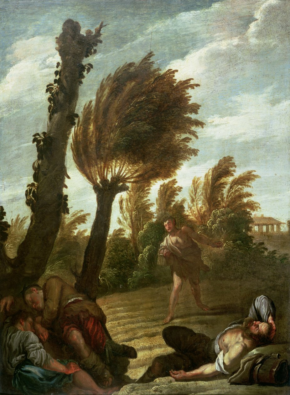 Parabel van de zaaier van onkruid, ca. 1620-21 door Domenico Fetti or Feti