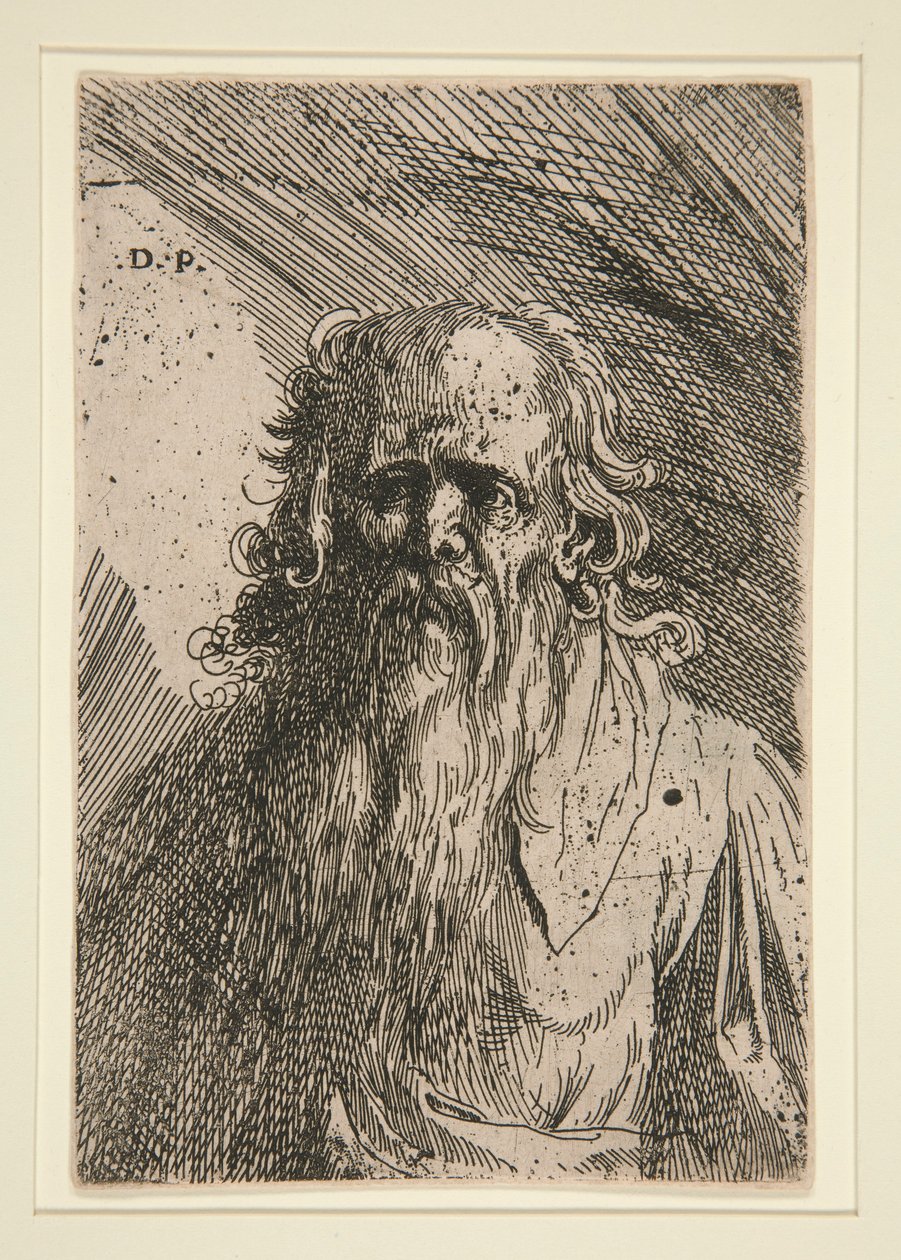 Oude Man met een Baard door Domenico Piola