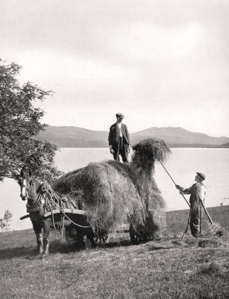 Hooi laden op een wagen aan de oevers van Loch Lomond, Schotland, 1924-1926 door Donald McLeish