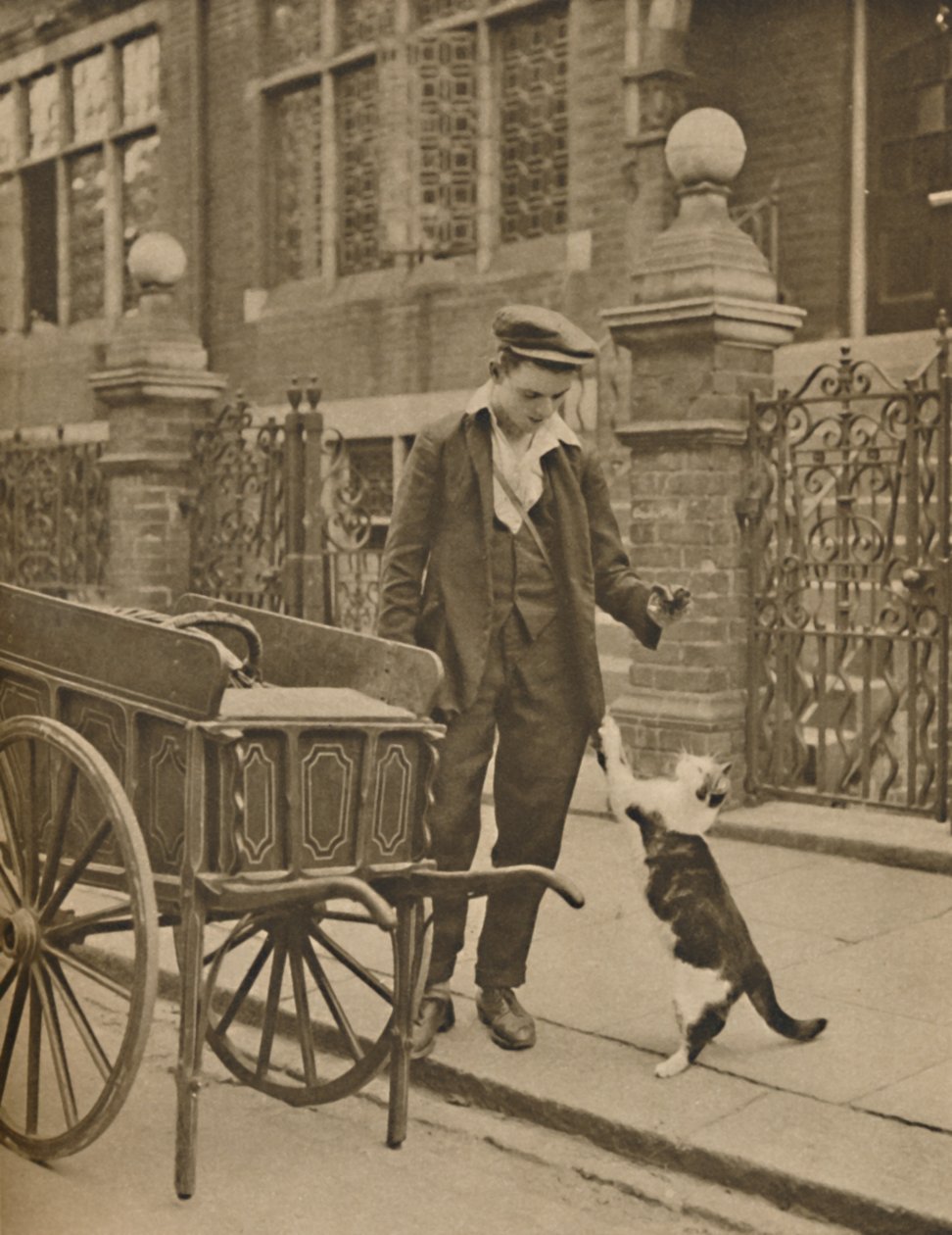 Een van de best gevestigde beroepen: Een klant en de kattenvleesman, ca. 1935 door Donald McLeish