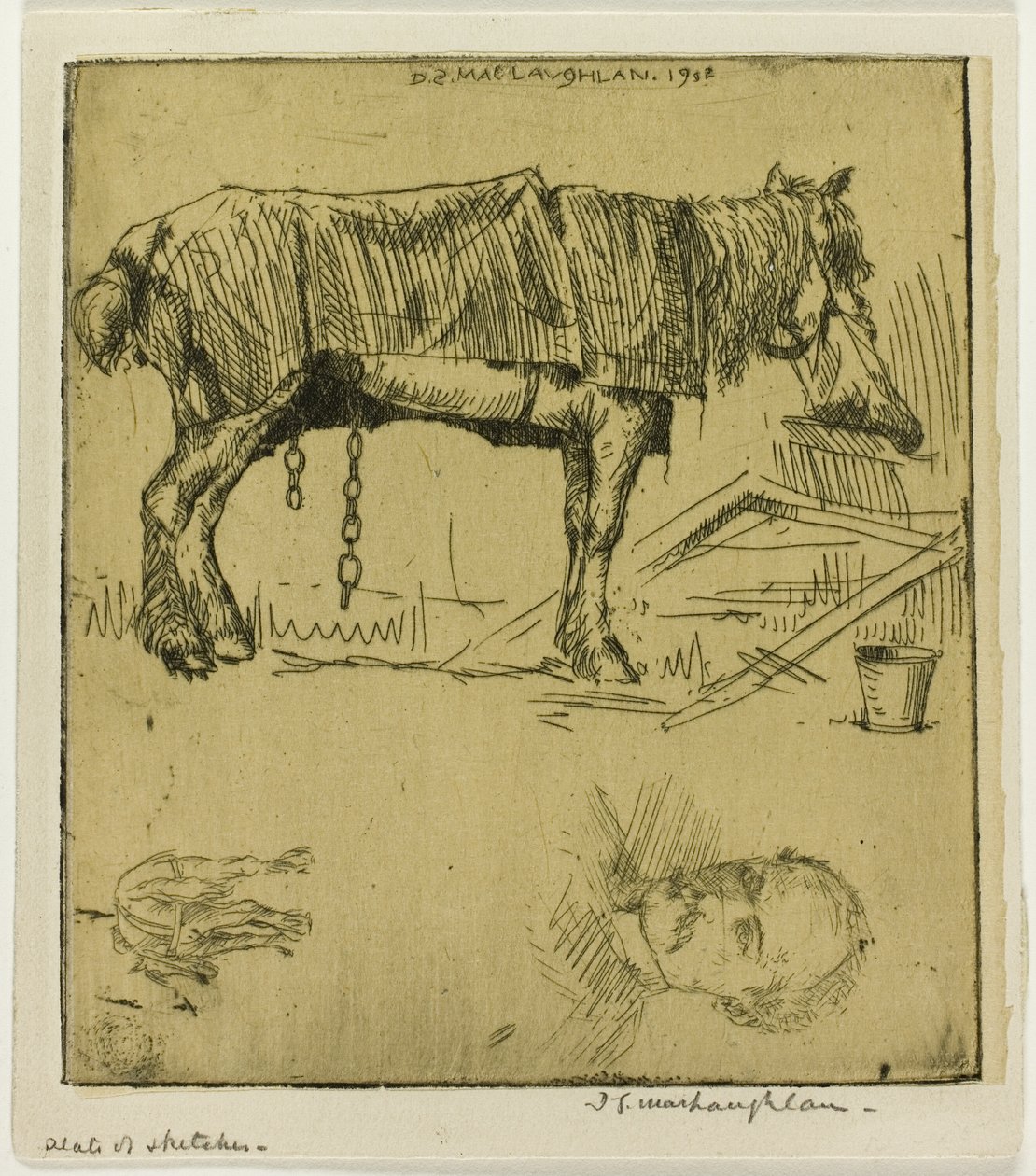 Plaat met schetsen door Donald Shaw MacLaughlan