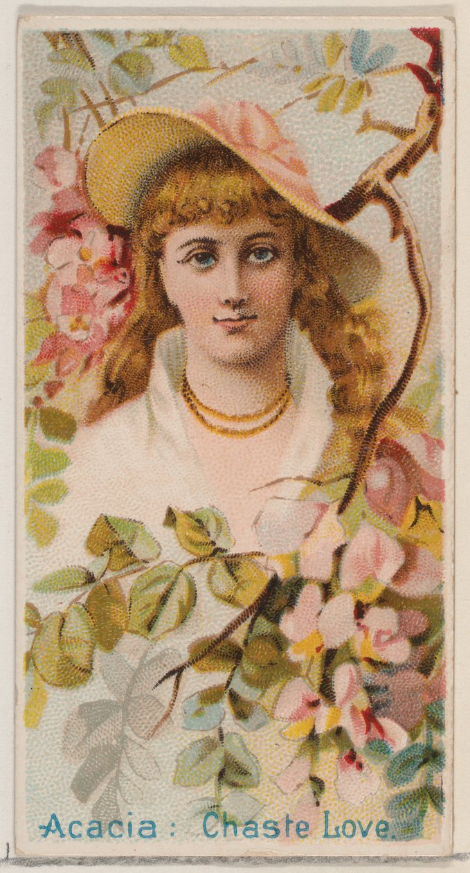 Acacia: Kuis Liefde, uit de serie Bloemen Schoonheden en Taal van Bloemen N75 voor Duk..., 1892 door Donaldson Brothers