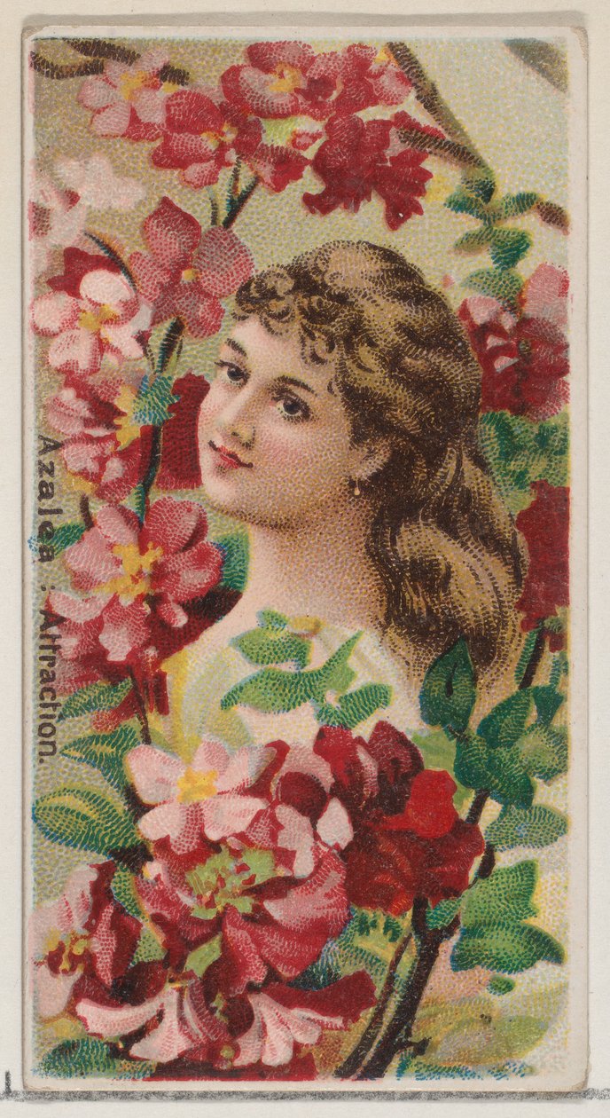Azalea: Aantrekking, uit de serie Bloemschoonheden en Taal van Bloemen N75 voor Duke, 1892 door Donaldson Brothers