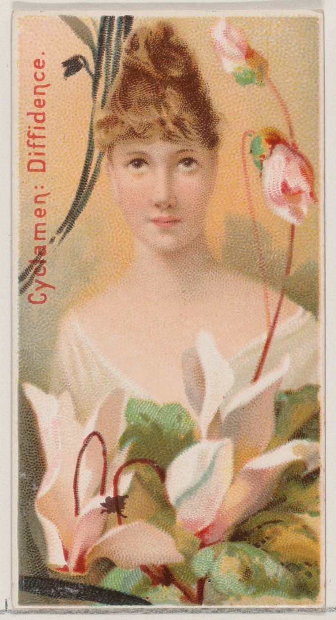 Cyclamen: Schuchterheid, uit de serie Bloemenschoonheden en Taal van Bloemen N75 voor Du..., 1892 door Donaldson Brothers