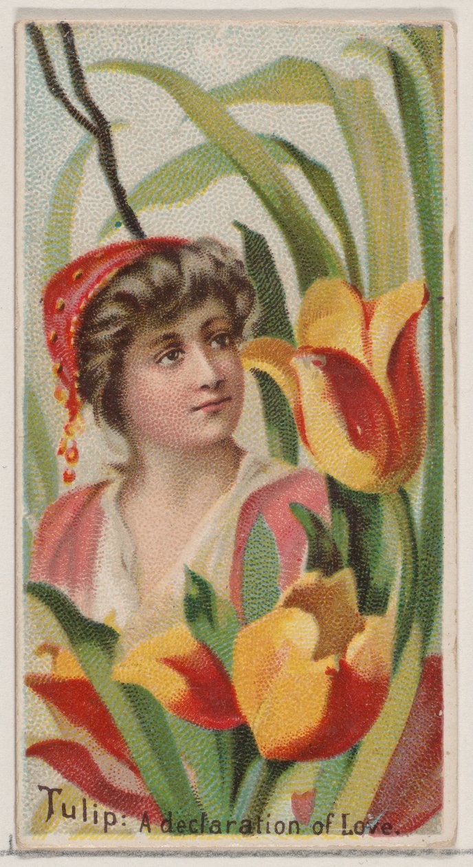 Tulp: Een Verklaring van Liefde, uit de serie Bloemenschoonheden en Taal van Bloemen N75 door Donaldson Brothers