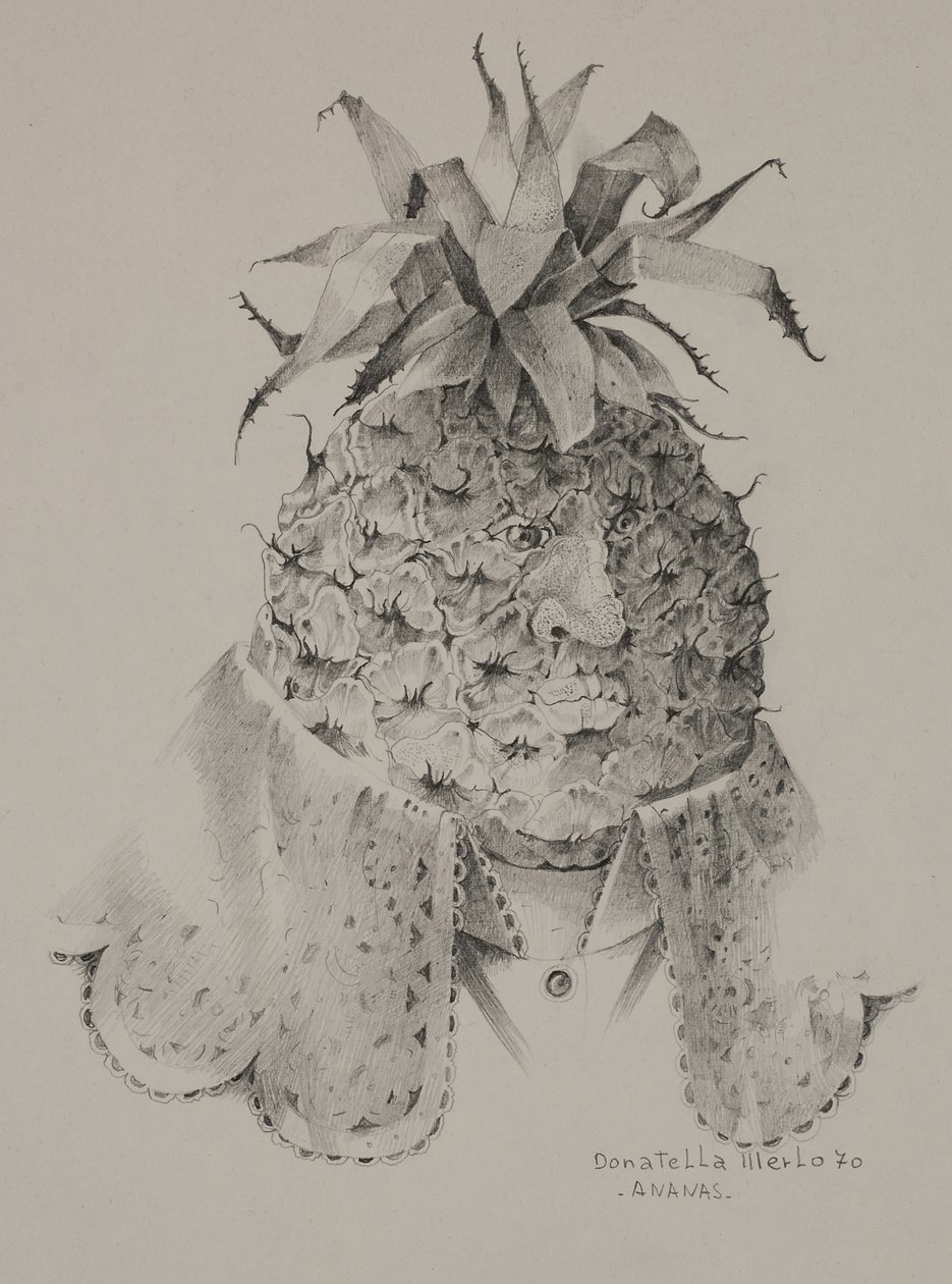 Ananas door Donatella Merlo