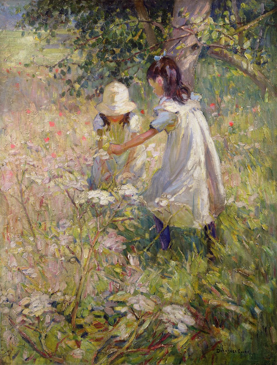  door Dorothea Sharp