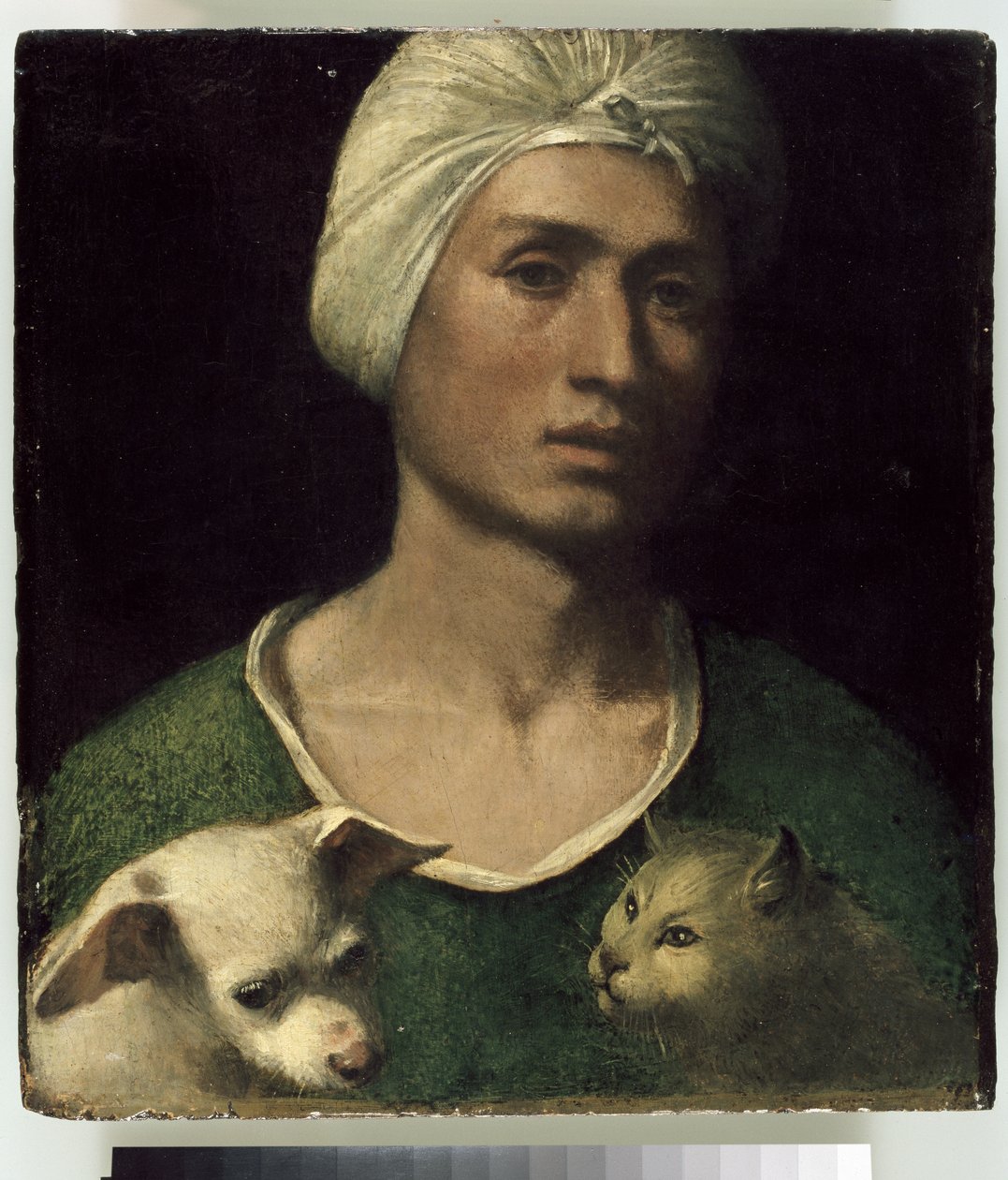 Portret van een jonge man met een hond en een kat door Dosso Dossi