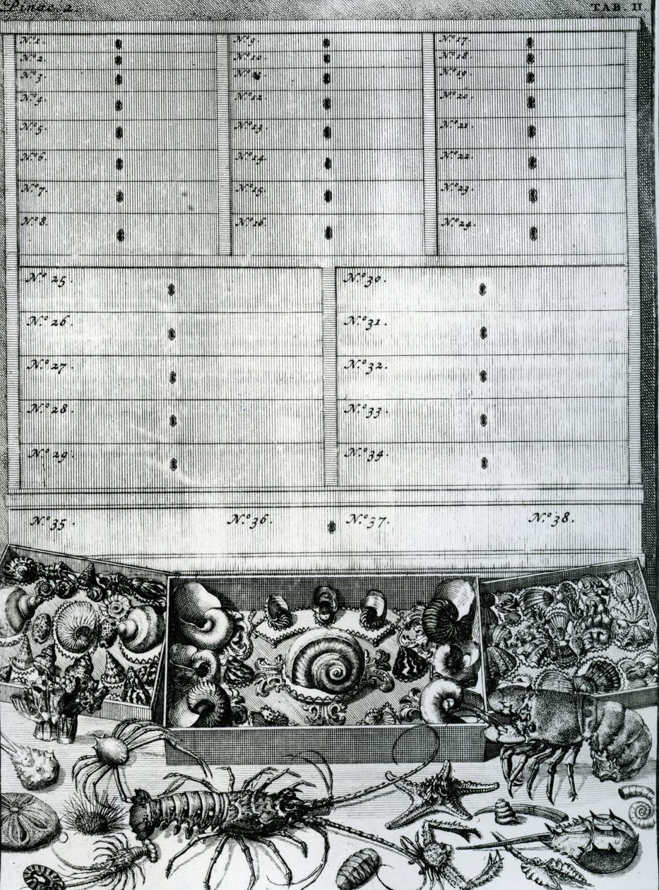 Tafel II uit 