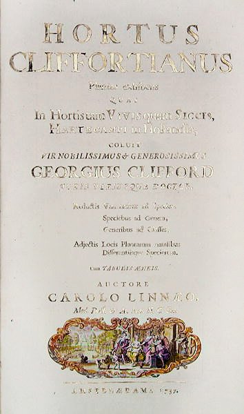 Titelpagina van Hortus Cliffortianus door Carl Linnaeus, Amsterdam, 1737 door Dutch School