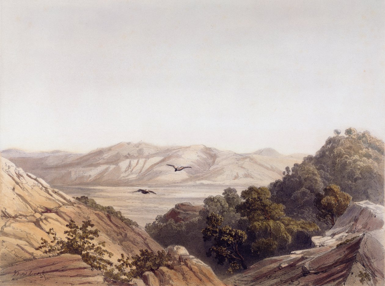 Karmelberg, Israël, gegraveerd door L. A Sabatier door Dutch School