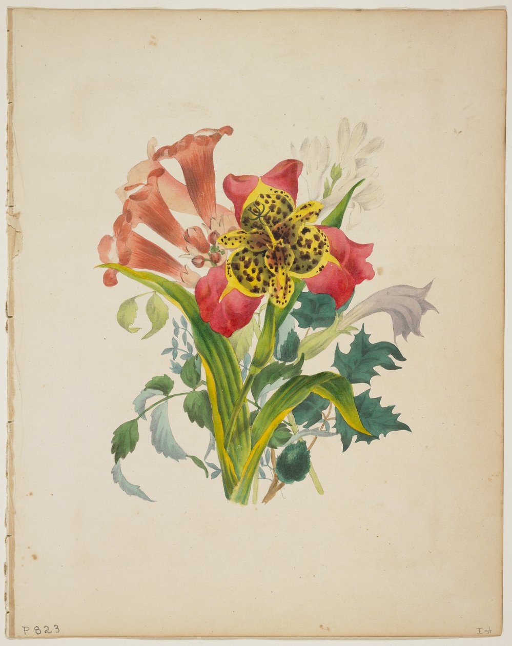 Boeket van trompetwinde, uit Flora