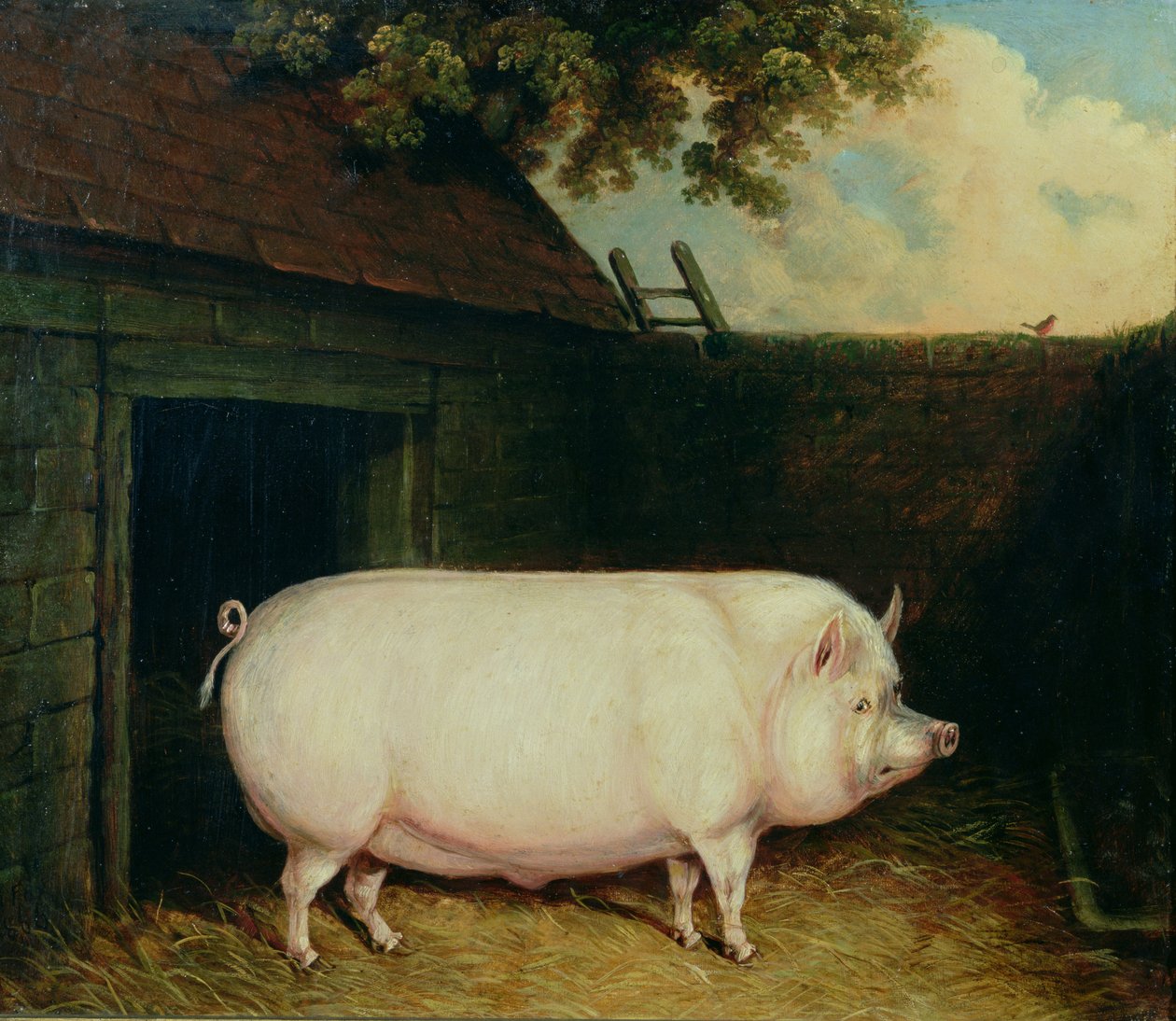 Een varken in zijn hok door E.M. Fox