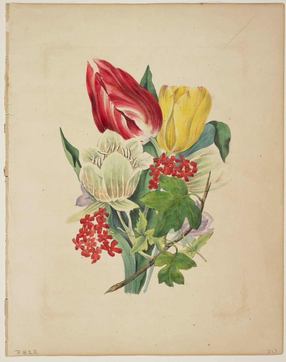 Boeket tulpen, uit Flora