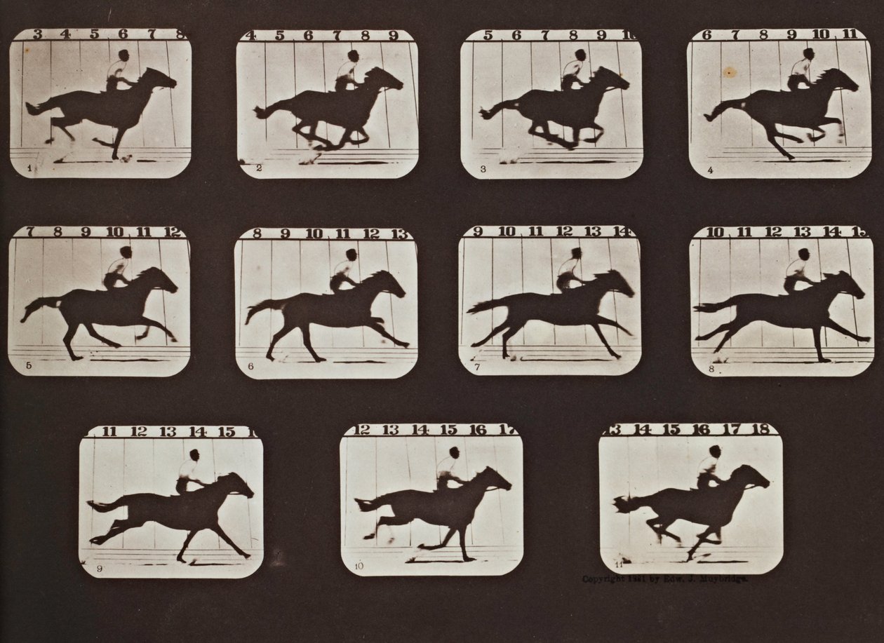 Sallie Gardner die Rent uit De Houdingen van Dieren in Beweging door Eadweard Muybridge
