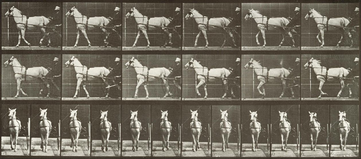 Wandelen, Sulky, lichtgrijze merrie, Katydid door Eadweard Muybridge