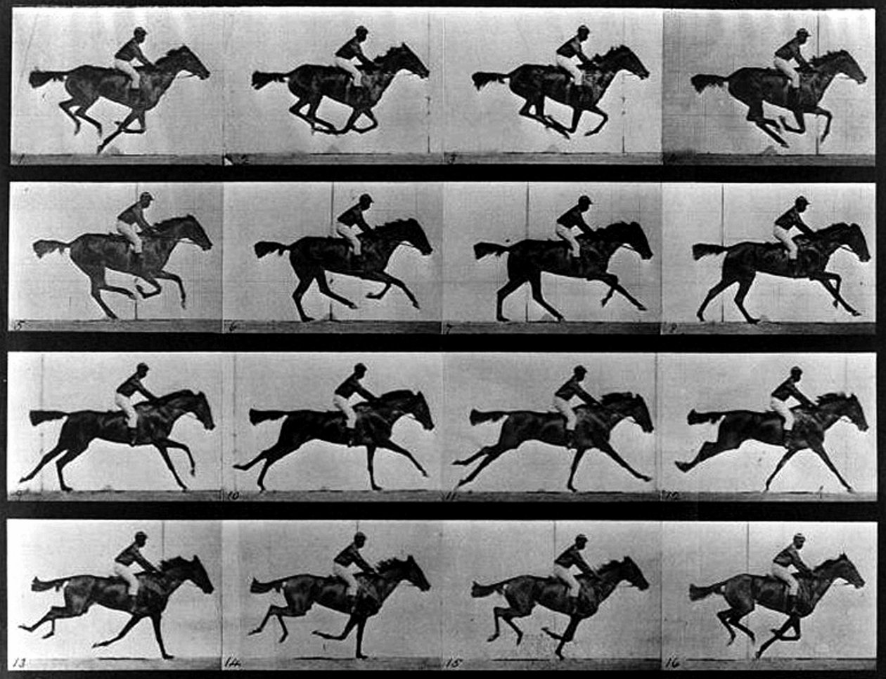 Een sequentiefoto door Eadweard Muybridge