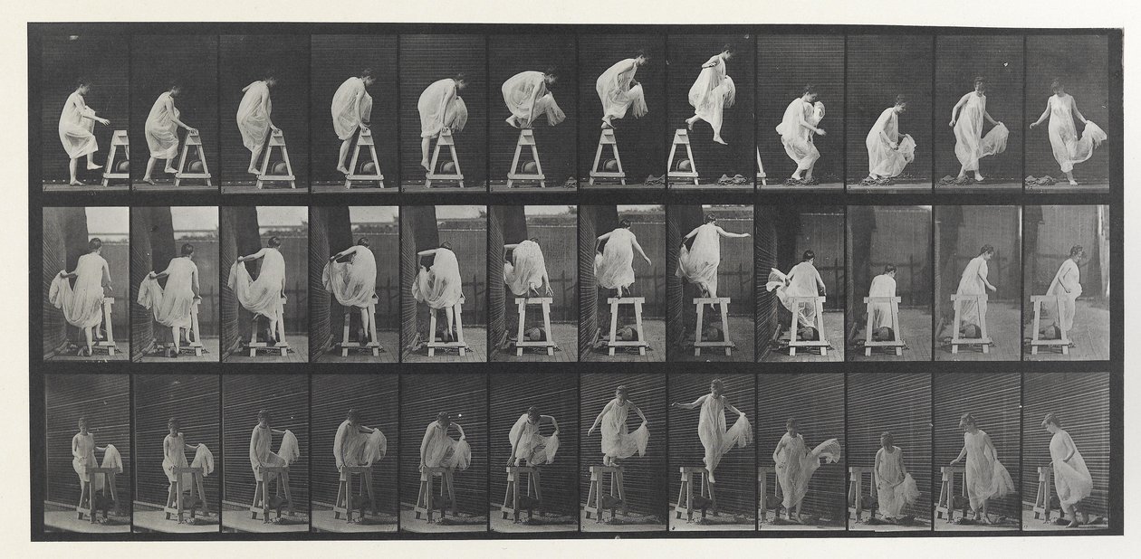 Dierenlocomotie plaat door Eadweard Muybridge